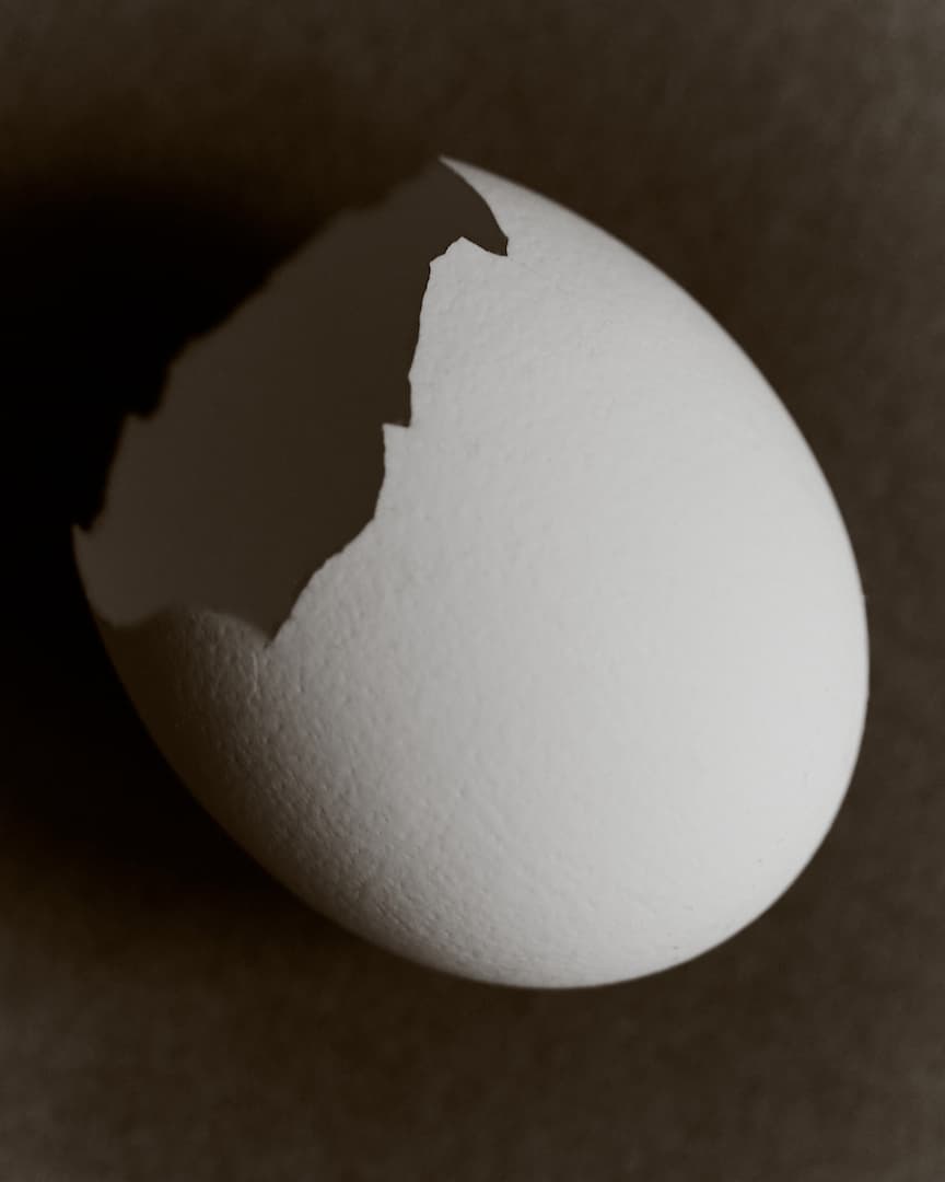 BOUND MAGAZINE "EGGS"